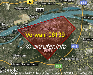 Vorwahlkarte 06139 – Budenheim